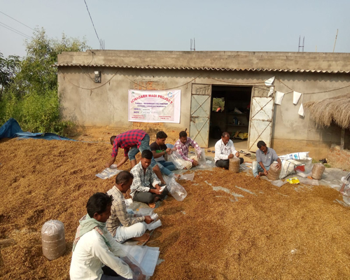 Mushroom Training .jpg